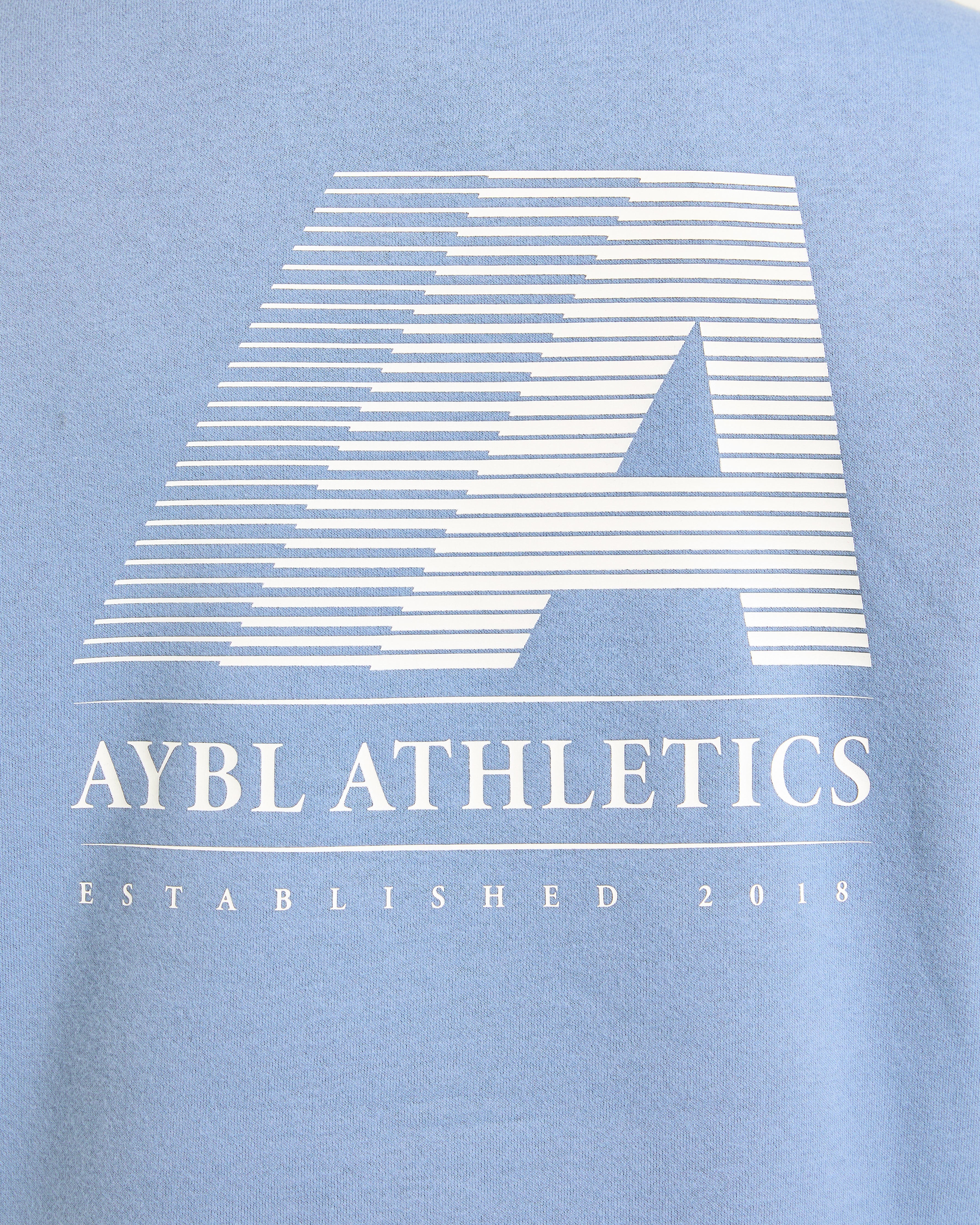 Retro Athletics Oversized 1/4 Zip Pullover - Vintage Blue - Image 6