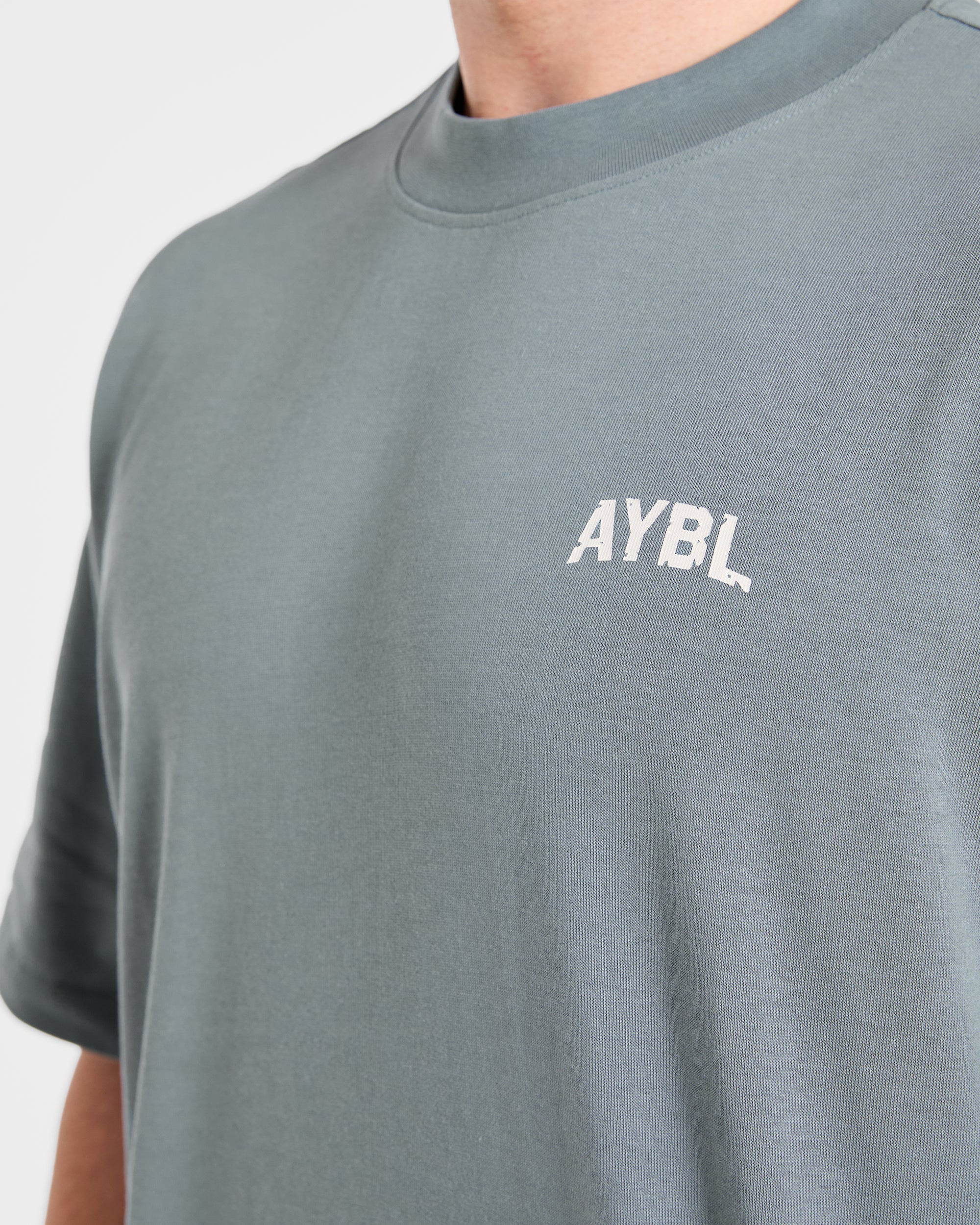 Strength Division Oversized T Shirt - Slate Sage - Image 6