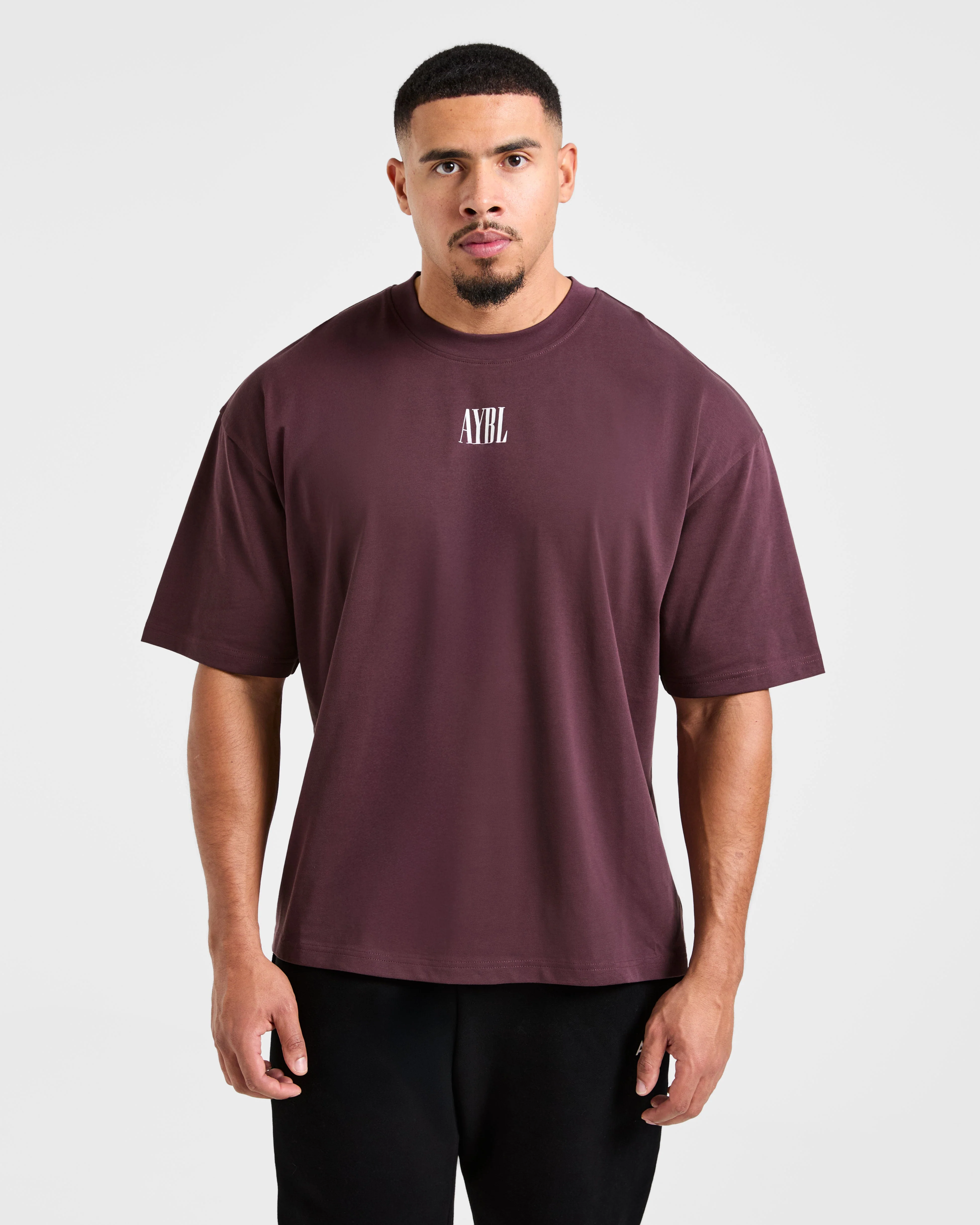 Strength Of Titans Oversized T Shirt - Smoke Berry - Image 2